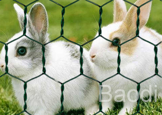 Home Depot Chicken Wire Netting , Green Coated Chicken Wire Fencing For Zoos