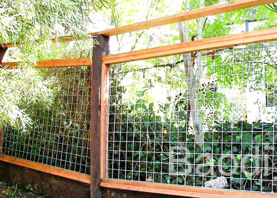 5' High Hog Wire Mesh Panels Hot Dipped Galvanized Welded Pattern 4 Gauge