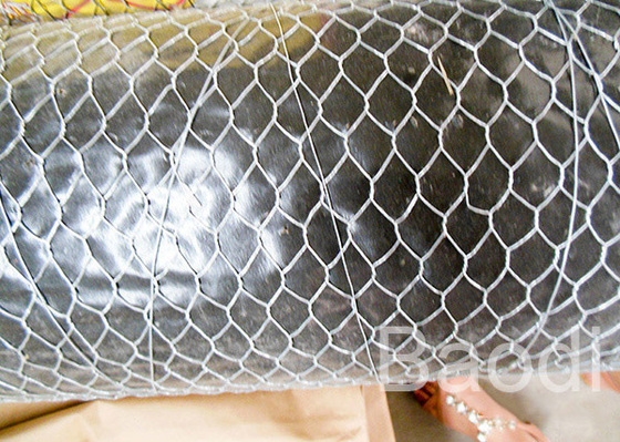 Stainless Chicken Wire Fabric For Rabbit Protection , Low Carbon Steel Chicken Yard Fence 