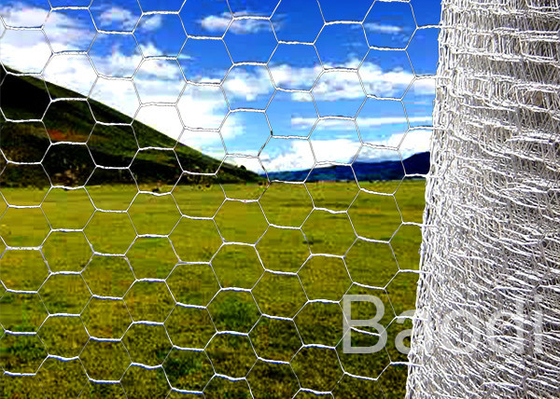 Rolled Galvanized Iron Chicken Wire Mesh Hexagonal Shape For Highway Guardrail