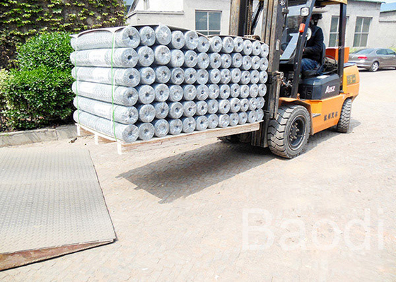 Mild Steel Galvanized Chicken Wire Mesh Roll Woven For Fence 3 -  6 Inch Height