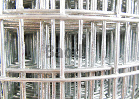 Stainless Steel Welded Wire Mesh High Strength With Solid Structure 1&quot; X 1&quot;