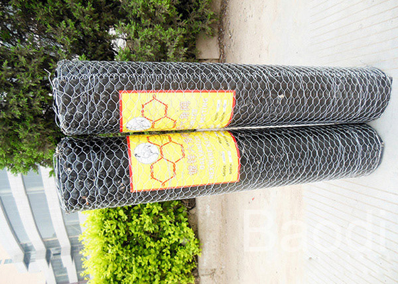 White Color Plastic Poultry Netting / Chicken Wire Mesh Roll With Hexagonal Holes