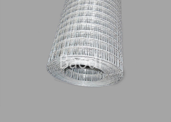 Electric Galvanised Welded Wire Cloth In Roll Well Corrosion Resistance