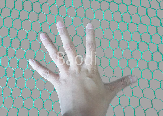 PVC Spraying Chicken Netting Hexagonal Woven Mesh Corrosion Resistance