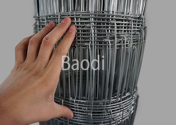 Carbon Iron Woven Wire Fencing Rolls Corrosion And Rust Resistance