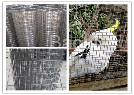 Agricultural Low Carbon Iron Galvanized Wire Cloth 1/2&quot; Mesh Size