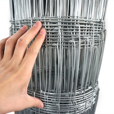 Not Coated Livestock Fence Durable Kraal Network for Safe and Durable Enclosure Solutions