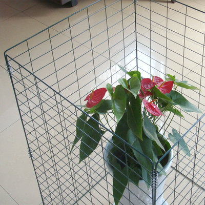 UV Protected Wire Mesh Compost Bin with Powder Vinyl Coated Surface and All-Weather Outdoor RAL6005 Green