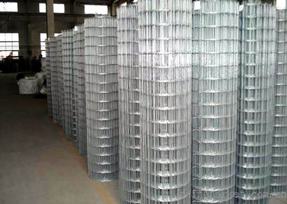 Protecting Mesh Galvanized Welded Mesh for Construction and Fencing Custom Sizes Guaranteed