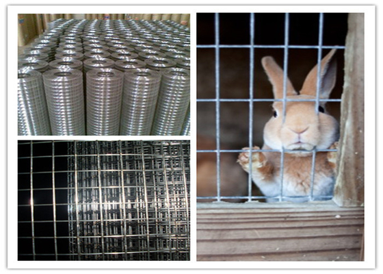 Protecting Mesh Galvanized Welded Mesh for Construction and Fencing Custom Sizes Guaranteed