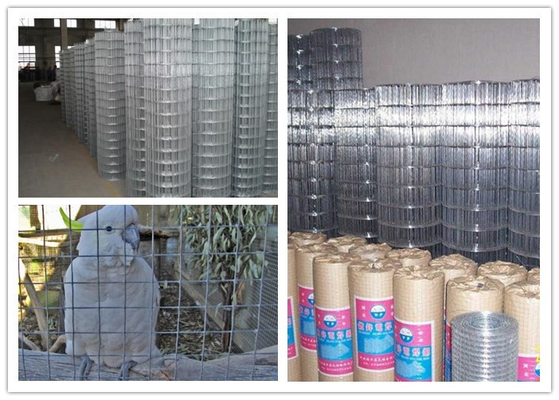 Protecting Mesh Galvanized Welded Mesh for Construction and Fencing Custom Sizes Guaranteed
