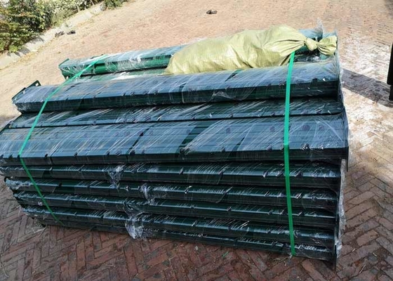 Black Powder Spraying 3mm Welded Wire Mesh Fence Iron Netting